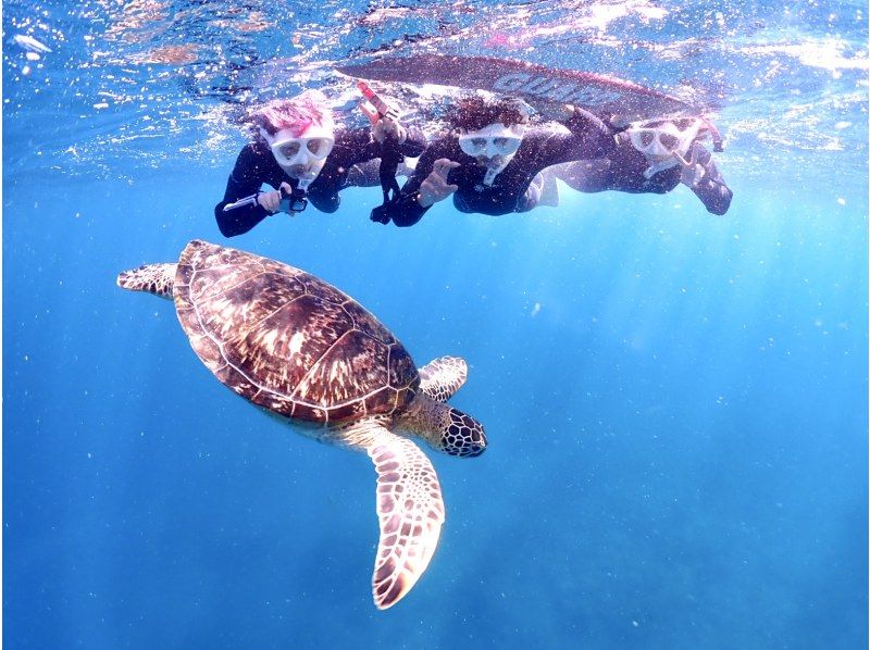 冬季割！【石垣島・午後】泳げなくもOKウミガメシュノーケル遭遇率95%【写真無料】の紹介画像