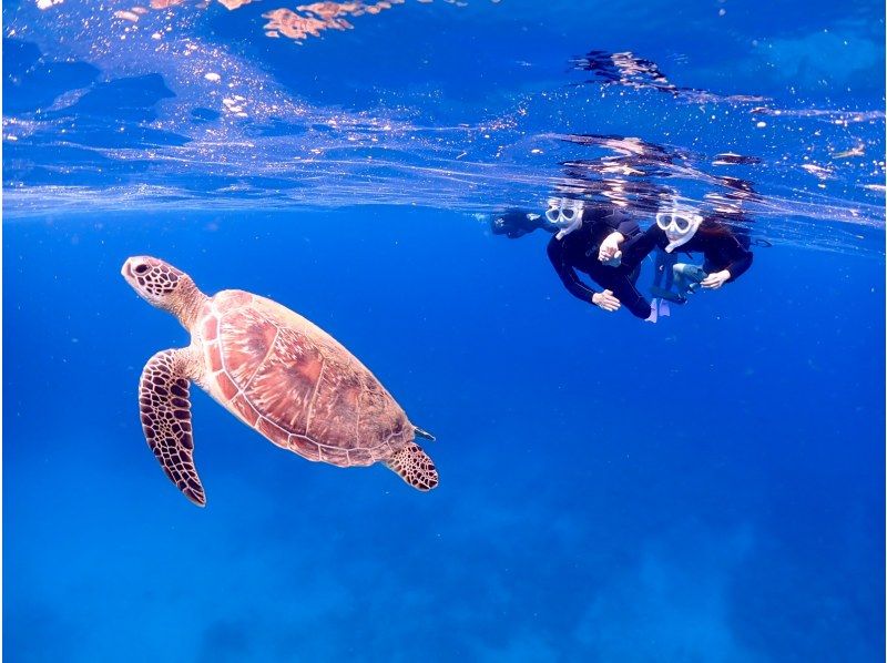 【北海道・SUP体験】透明度の高い支笏湖の湖面をクルージング！SUP体験（半日コース）の画像