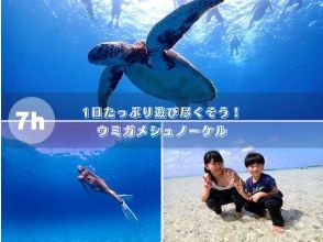 【石垣島・1日】幻の島上陸&ウミガメorマンタシュノーケル&石西礁湖エリア【写真無料】