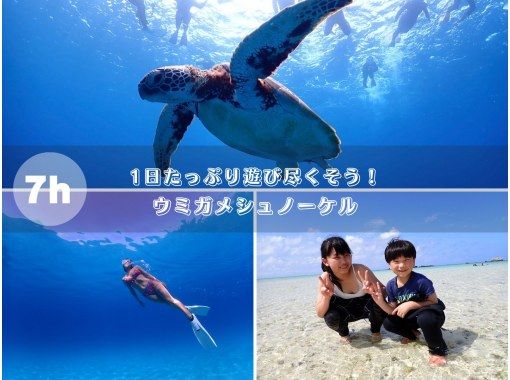 【石垣島・1日】幻の島上陸&ウミガメorマンタシュノーケル&石西礁湖エリア【写真無料】の画像