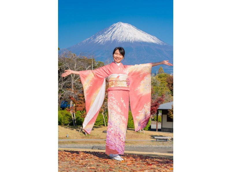 安い 富士山 着物