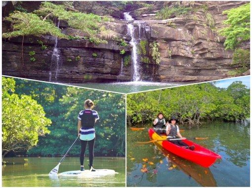 [Iriomote Island/1 day] Enjoy the World Heritage Site! Enjoy two rivers at Mizuochi Falls & mangrove SUP/canoeing! [Free photo data]の画像