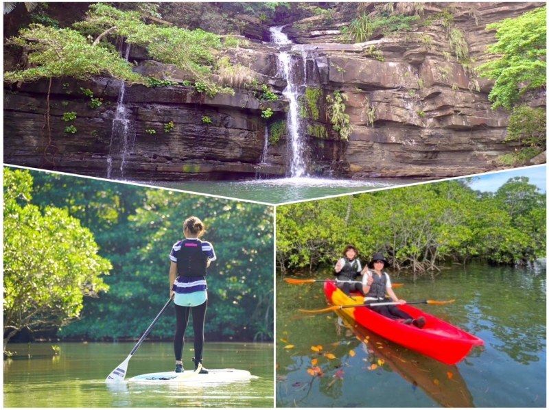 [Iriomote Island/1 day] Enjoy the World Heritage Site! Enjoy two rivers at Mizuochi Falls & mangrove SUP/canoeing! [Free photo data]の紹介画像