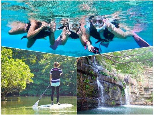 [Iriomote Island/1 day] Head to Mizuochi Falls! Mangrove SUP or canoeing & tropical snorkeling [Photo data/equipment rental free]の画像