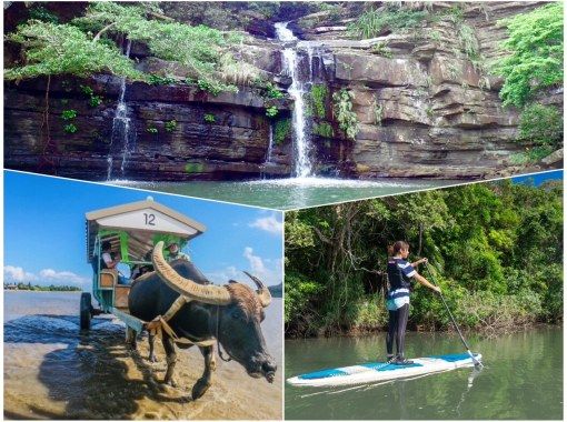 [西表島/1天] 紅樹林SUP或獨木舟之旅至水落瀑布＆由布島觀光套餐之旅[照片資料/設備租借免費]の画像