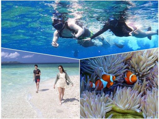 [Iriomote Island/1 day] Barasu Island x Spectacular Beach! Iriomote Island Perfect Snorkeling Pack [Photo data/Equipment rental free]の画像