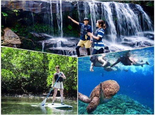 [Iriomote Island/1 day] Mangrove SUP or canoeing to "Sangara Falls" & Snorkeling on Barasu Island [Free photos] Super Summer Sale 2024の画像