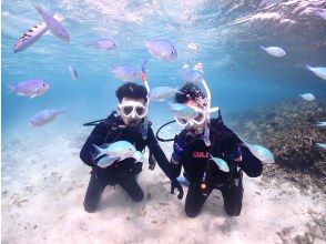 บริการดำน้ำเกาะอิชิงากิ บลูซีด