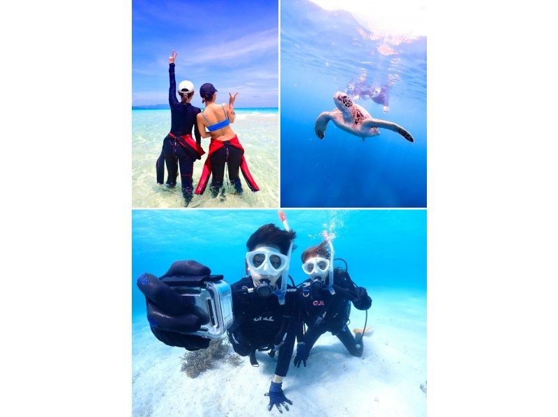 【早割8500円】カップル、ご夫婦、友人｜初めてでも安心｜専属ガイドがご案内｜幻の島上陸＆体験ダイビング【石垣島、午前、午後/2便】の紹介画像