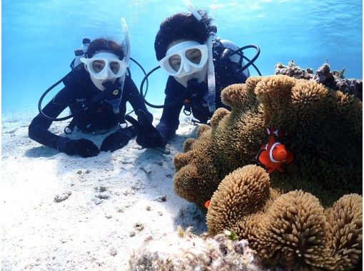 【早割でお得に満喫】【石垣島・3時間】有名な幻の島上陸＆初心者向け体験ダイビング＜初めてで不安がいっぱいそんなあなたへ！＞の画像