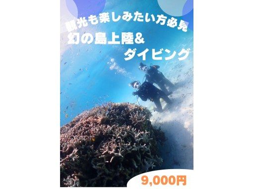 SALE！【見つけた方早い者勝ち！1日1組限定価格】【石垣島・3時間】半日で楽しむ幻の島＆初心者向け体験ダイビング　最安プランの画像