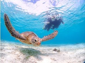 [Miyakojima] 100% encounter rate continues! Beginners and children welcome! A special snorkeling experience where you can swim up close with sea turtles and tropical fish! Free high-resolution photos!