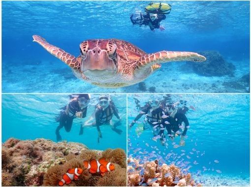 【宮古島/送迎可能】遭遇率100％継続！ ウミガメやカラフルなお魚と泳げる感動のシュノーケルツアー／当日予約＆前日予約OK！の画像