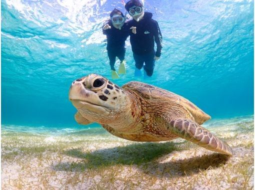 [Miyakojima | Sea turtle encounter rate is almost 100%] Small-group snorkeling tour for beginners | / Safe even in winter / Same-day reservations available / Free high-resolution dataの画像