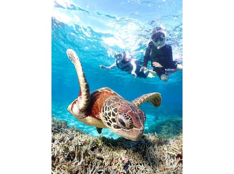 【北海道・SUP体験】透明度の高い支笏湖の湖面をクルージング！SUP体験（半日コース）の画像