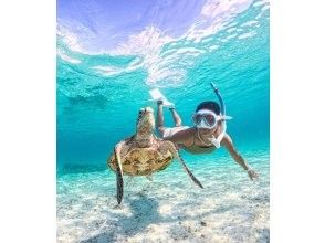 [Miyakojima] 100% chance of encountering them!! Beginners and children welcome!! A special snorkeling experience where you can swim up close with sea turtles and tropical fish!! Free high-resolution photos!!