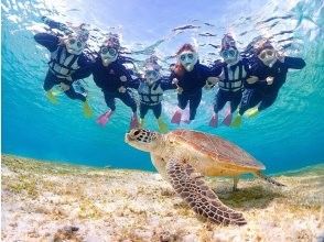 【宮古島/少人数制】ウミガメシュノーケリング|遭遇率100%継続!初心者.お子様大歓迎!熱帯魚にも会える!!高画質写真無料プレゼント!!