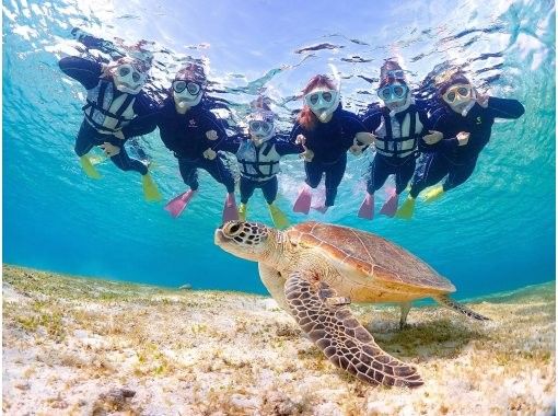 【宮古島/少人数制】ウミガメシュノーケリング|遭遇率100%継続!初心者.お子様大歓迎!熱帯魚にも会える!!高画質写真無料プレゼント!!の画像