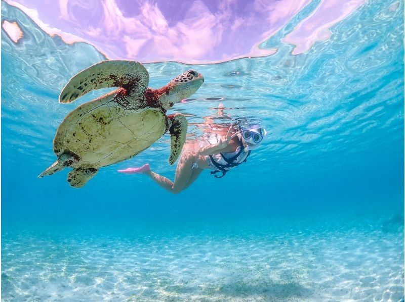[Miyakojima] 100% chance of encountering them!! Beginners and children welcome!! A special snorkeling experience where you can swim up close with sea turtles and tropical fish!! Free high-resolution photos!!の紹介画像