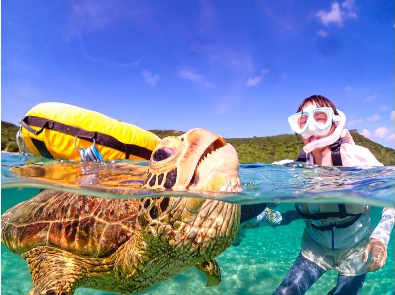 【宮古島】インスタ映え！ウミガメと泳げる贅沢なシュノーケリングツアー！高画質写真データ&器材全て無料！！初心者やお子様でも大歓迎！！！