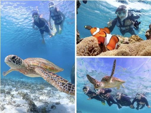 【宮古島/送迎可能】遭遇率100％継続！ ウミガメやカラフルなお魚と泳げる感動のシュノーケルツアー／当日予約＆前日予約OK！の画像
