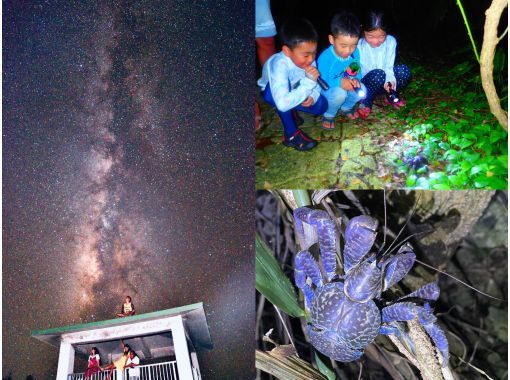 [Miyakojima/Night] Jungle Night Tour & Stargazing ★ Rare Tropical Creature Search Exploration Tour ★ Recommended for Families ★ Super Summer Sale 2024の画像