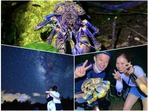 [Miyakojima/Night] Jungle night tour & stargazing ★ Exploration tour to find rare tropical creatures ★ Recommended for families ★