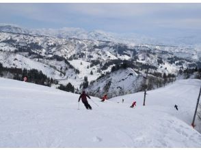 [新泻/山越]合志高原滑雪场限定！享受包场雪上活动、山越美食、温泉，与志同道合的朋友一起留下美好回忆！の画像