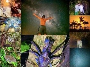 【宮古島・ターザンガイドがご案内‼︎】星空&ジャングルナイトツアー☆《12歳未満は子供料金‼︎当日歓迎♪体験60分》