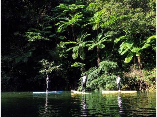 【오키나와・얀바루】세계 자연 유산을 대모험! 정글 삽 투어の画像