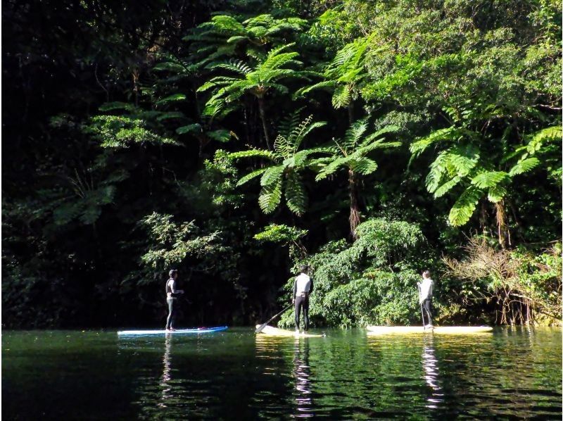【오키나와・얀바루】세계 자연 유산을 대모험! 정글 삽 투어の紹介画像