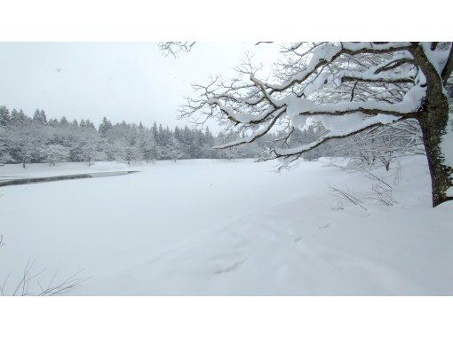 【長野・信濃町】黒姫高原御鹿池でスノーシュー　午後からのスノートリップ３時間体験の画像