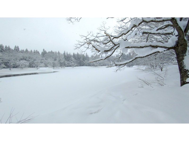 【長野・信濃町】黒姫高原御鹿池でスノーシュー　午後からのスノートリップ３時間体験の紹介画像