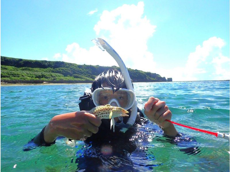 シートラベラーの割引プラン