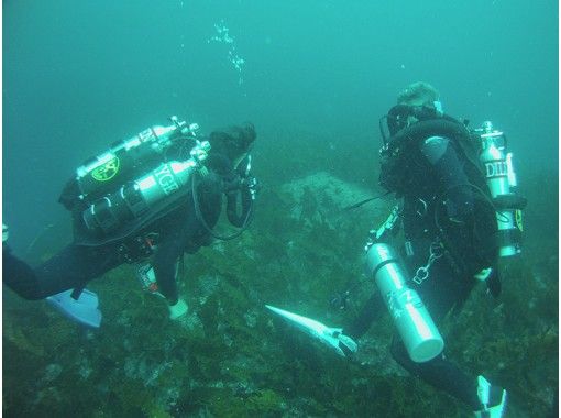 【伊豆大岛】体验循环呼吸器潜水员课程【PADI OWD及以上 ，丰富SP认证】の画像