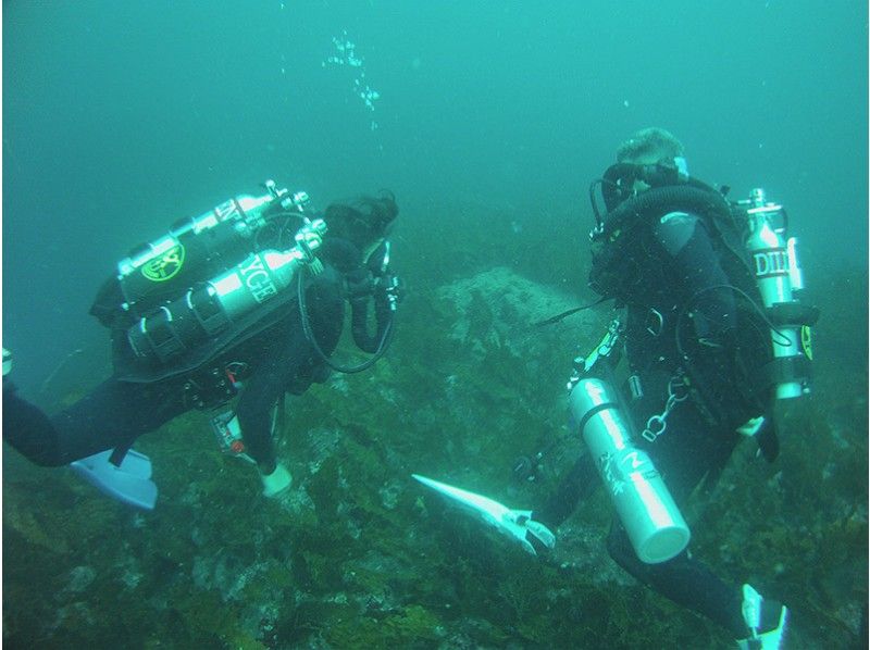 【伊豆大岛】体验循环呼吸器潜水员课程【PADI OWD及以上 ，丰富SP认证】の紹介画像