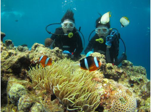 [Chatan, Okinawa] Photo and video present! Boat experience diving! Let's go see the coral fields! Departing from Chatan, about 2 hours, held 4 times a day, pick-up and drop-off available ※English OKの画像