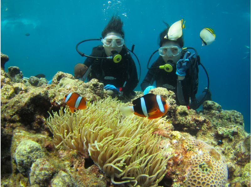 [Chatan, Okinawa] Photo and video present! Boat experience diving! Let's go see the coral fields! Departing from Chatan, about 2 hours, held 4 times a day, pick-up and drop-off available ※English OKの紹介画像