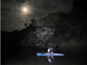 [Northern Okinawa/Yanbaru] Enjoy “night”! Night mangrove exploration tour (150 minutes)