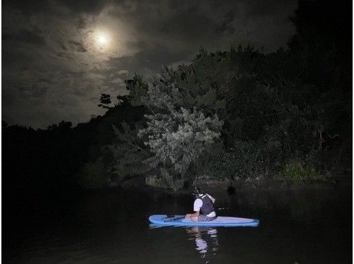 [沖繩北部/山原]享受「夜晚」！夜間紅樹林探索之旅（150 分鐘）の画像