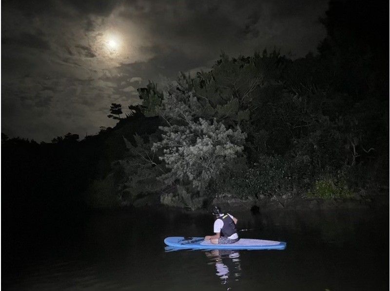 [沖繩北部/山原]享受「夜晚」！夜間紅樹林探索之旅（150 分鐘）の紹介画像
