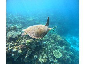 [Departing from the north/remote island] Minna Island Exciting boat snorkeling & marine 3-type pack ★Free download of tour photos & round-trip boarding ticket included★の画像