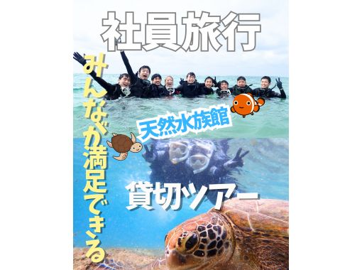 那覇から約30分【送迎可・初心者向け・3～70歳】☆100種類以上お魚＆ウミガメがいる天然水族館ツアー☆ドローン無料撮影の画像