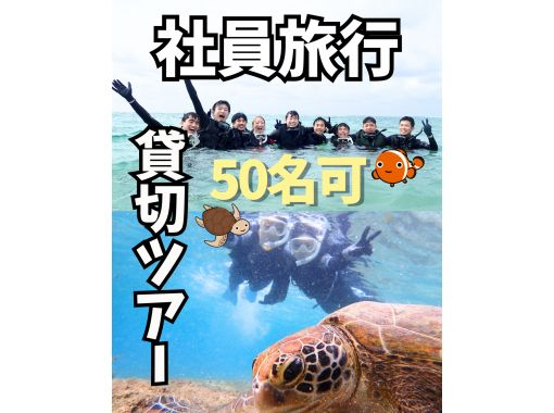 那覇から約30分【送迎可・初心者向け・3～70歳】☆100種類以上お魚＆ウミガメがいる天然水族館ツアー☆ドローン無料撮影の画像