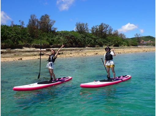 《About 30 minutes from Naha♪》 Refreshing SUP tour on Oujima, an island of ocean and cats ★ Free transportation ★ Free equipment rental ★ Wet suit included ★の画像