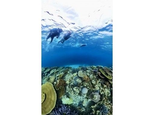 SALE！【伊良部島deシュノーケル】宮古ブルーの海の中を満喫しよう！写真・動画付きの画像
