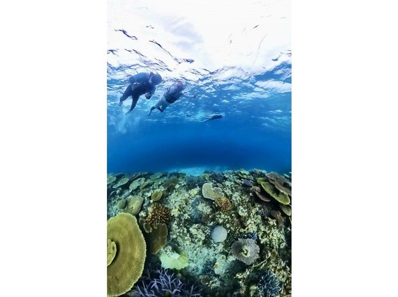 SALE! 【이라베 섬 de 스노클】미야코 블루의 바다 속을 만끽하자! 사진·동영상 첨부の紹介画像