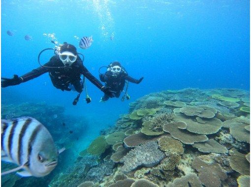 【水納島・瀬底島 】ボート体験ダイビング2本　(10歳から参加OK) 　写真・動画無料プレゼントの画像