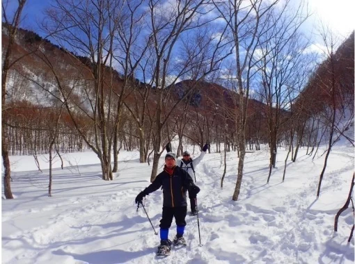 [Gunma/Minakami/Snowshoe/1 day] Find the spectacular view of Okutone! (Lunch included)の画像