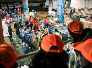 [Kagawa/Takamatsu] Guided Setouchi Fish Market Tour